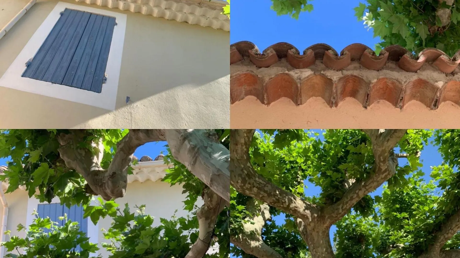 Le Mas De La Terre - Chambres D'Hotes L'Isle-Sur-La-Sorgue Cavaillon Guest house